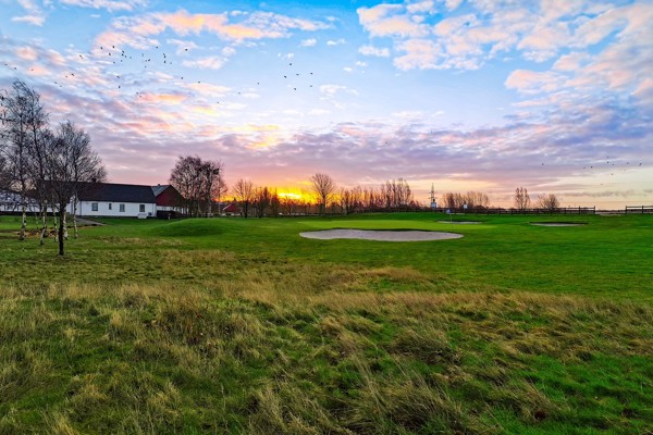 Ny Course Manager