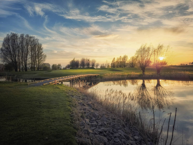 Så här jobbar klubbens banpersonal med greenerna