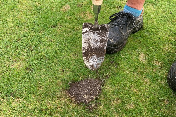 Mycket viktigt att vara snäll mot golfbanan