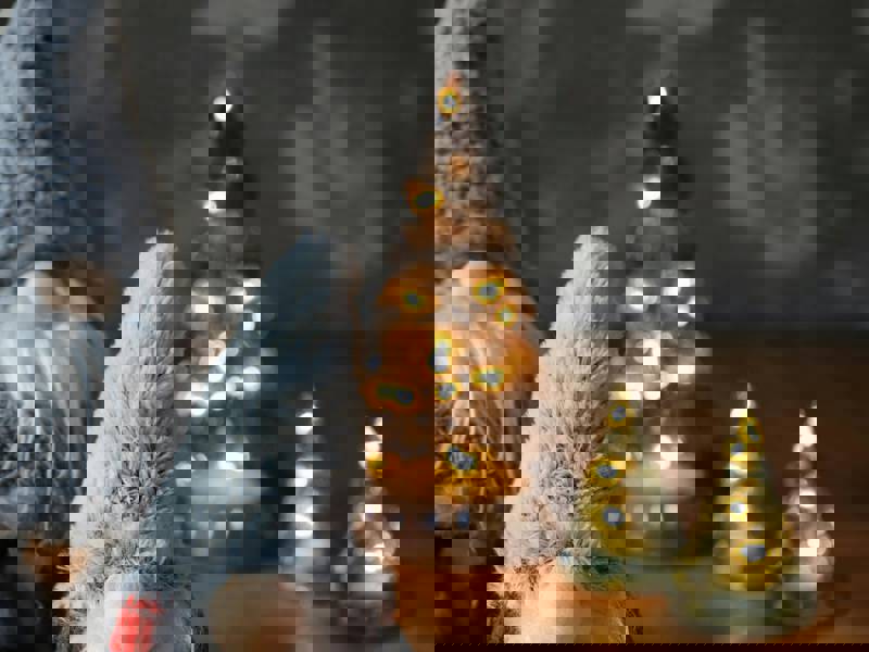 God Jul & Gott Nytt År!